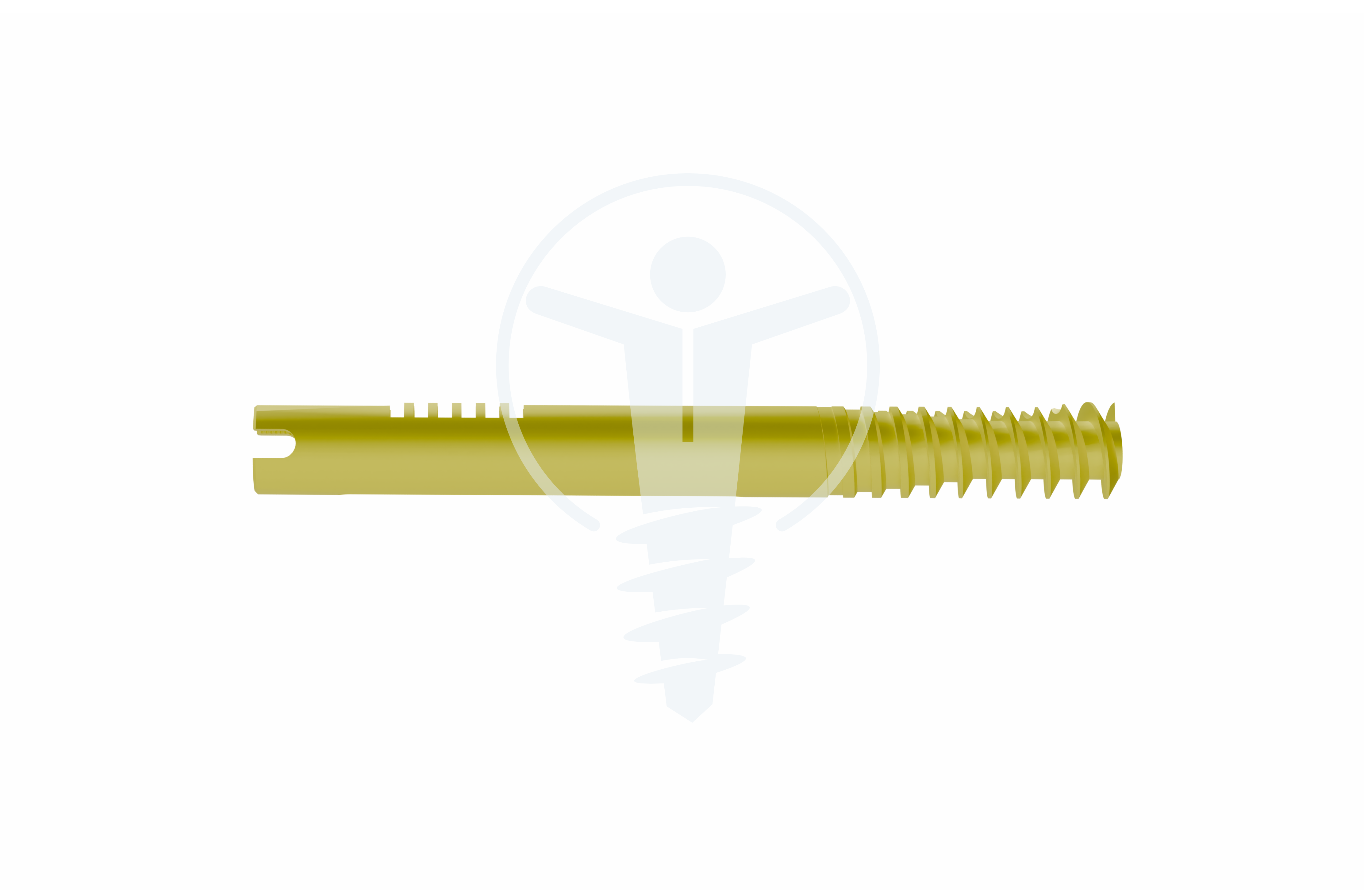 IAPFN SUBTROCHANTERIC LEG SCREW TT